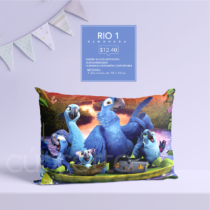 Almohada Rio1familia